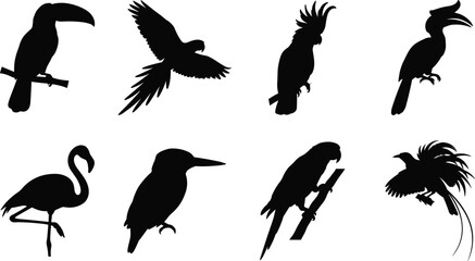 WebExotic Tropical Bird Silhouette Collection with Toucan Parrot Flamingo Hornbill and Flying Birds Vector Set © LubanaAkter