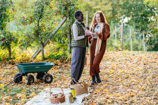 Cheerful diverse female friends preparing sustainable picnic after autumn apple harvest