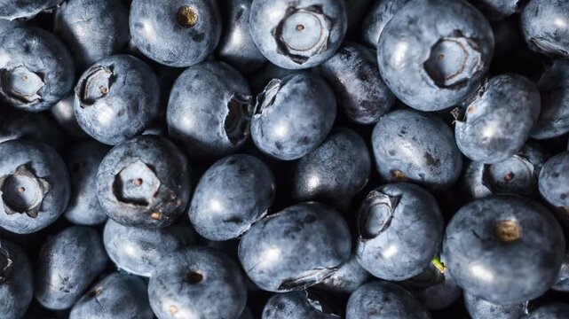 Fresh Blueberry Texture Background, Ripe Organic Berry