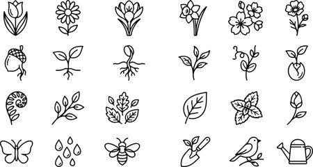 Minimal outline icons for spring gardening plant seed growth and wildlife © SHARMIN