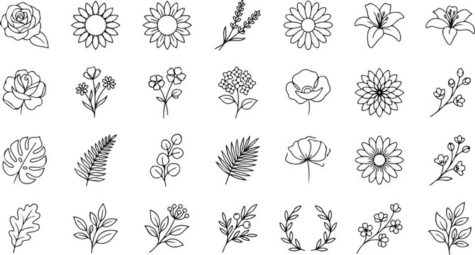 Minimal monoline outline garden flowers fern and palm leaf icons