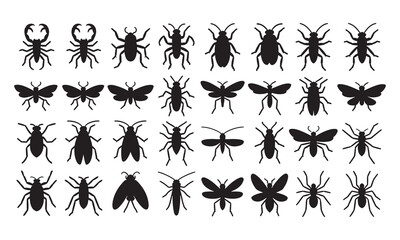 Obraz premium Set of black silhouette representing various insects, beetles, spiders, flies, moths, and bugs in different shapes and sizes, isolated on a clean white background, for use