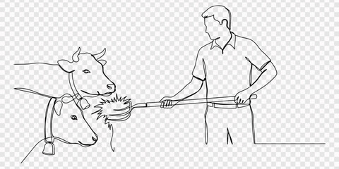 Farmer feeding hay to cows in a barn line art, transparent background, Farmer feeding hay to cows with a pitchfork in a continuous line illustration, Cow and farmer feeding hay black and white line. © line drawing