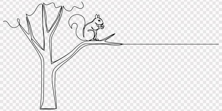 Squirrel Climbing Tree Branch Line Art Simple Design Drawing, transparent background, Continuous one line drawing squirrel holding walnut on a felled tree trunk. Finding something to eat. Eating at on