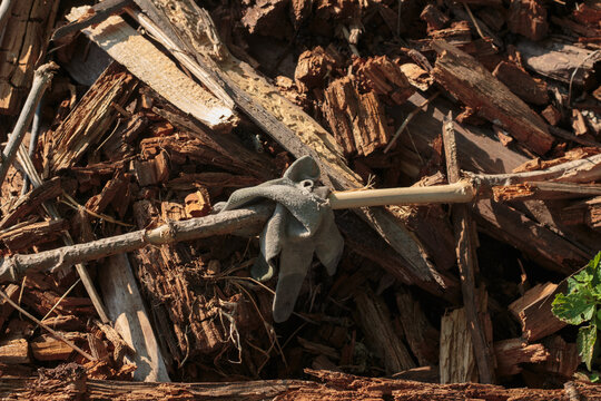 Close-up of a broken crumbling decaying wooden log laying on a pile of dry bark chips and brown wood waste in a sunlit garden or forest ground with small green leaves and blades of grass.