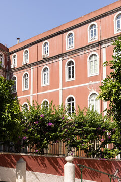 Traditional terra cotta colored building in Lisbon, Portugal framed by trees on a sunny day. 