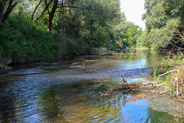 A picturesque forest river slowly carries its clear waters among dense green trees and lush coastal vegetation. Bright sunlight sparkles on the calm water surface, creating an atmosphere of comfort, u © Олег Струс