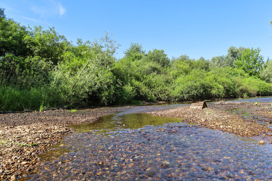 A transparent shallow river with a stony bottom flows past dense green forest thickets under a bright blue sky. Water gently washes the pebbly shores and small land islands amidst the riverbed.