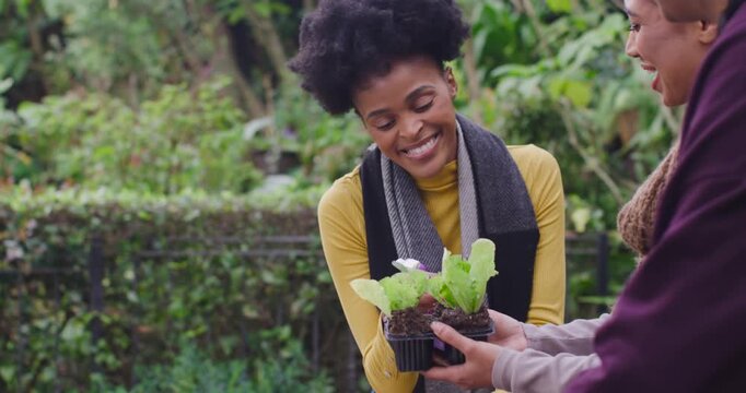 Two adult women at garden holding tray, center reaching and misting seedlings with purple sprayer