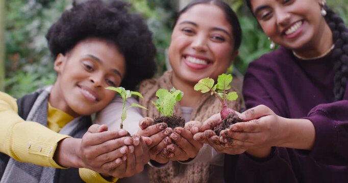 Diverse female friends presenting seedlings toward camera in muddy hands at garden, sharing growth