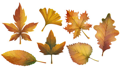 Fototapeta premium Watercolor autumn leaves set with maple, oak and ginkgo biloba, botanical fall foliage collection isolated on transparent background
