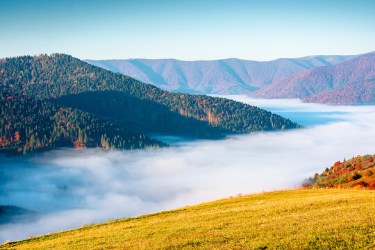 valley in morning fog. carpathian mountain landscape in autumn. scenic view of an alpine countryside in fall season