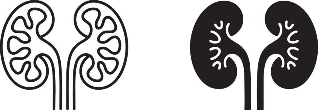 kidneys icon line and solid style vector illustration