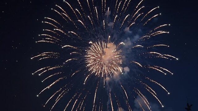 Vibrant Firework Burst in Night Sky with Blue Flare