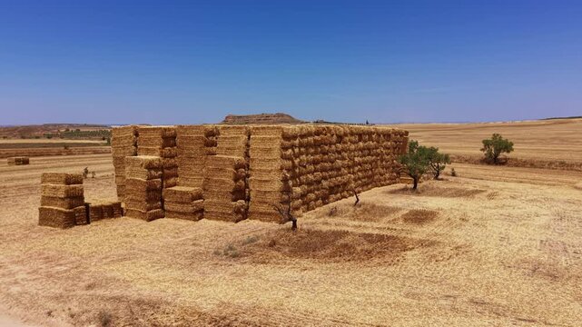 Aerial view of massive straw bale wall stacked in a dry harvested wheat field near Lleida, Spain, with a tabletop mountain and olive trees visible under clear blue sky