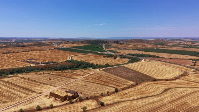 Aerial view of harvested wheat fields forming geometric patchwork patterns alongside green irrigated crops and rural dirt roads across the flat cereal plain of Lleida, Catalonia, Spain