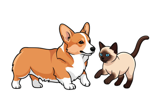 Corgi and Siamese cat cartoon friends