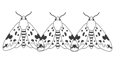Moth Illustration Black And White Linear Drawing On White Background © Saidul_Studio1984