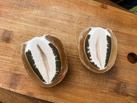 Phallus impudicus, known as the common stinkhorn cut into pieces close-up. Ripe mushroom, the immature fruiting body ("egg") of this mushroom, this egg is edible and used for medicinal purposes.