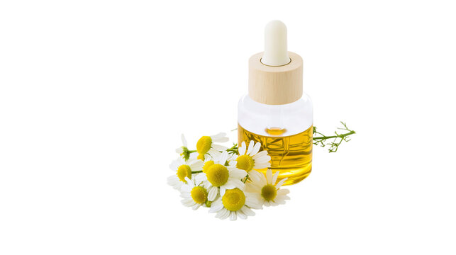 Glass dropper bottle with golden chamomile oil and fresh daisy flowers, isolated on transparent background