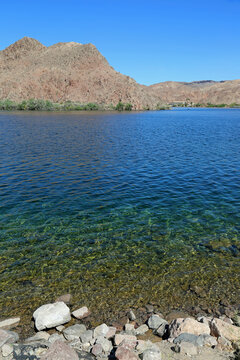 On Colorado River in Arizona vertical, Arizona