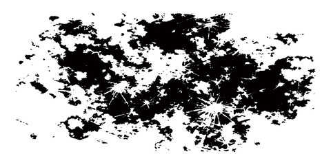 Obraz premium Abstract Black Grunge Ink Splat Frame with Vintage Paint Splatter Border Floral Vector Illustration Background Design