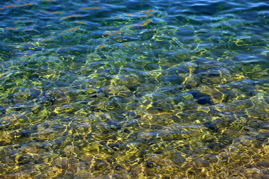 Clear water in Colorado River, Arizona