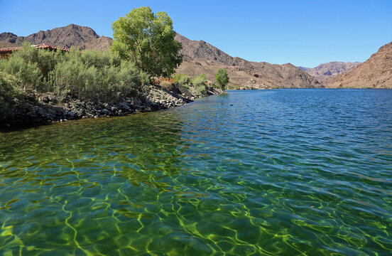Emerald water in Colorado River, Arizona
