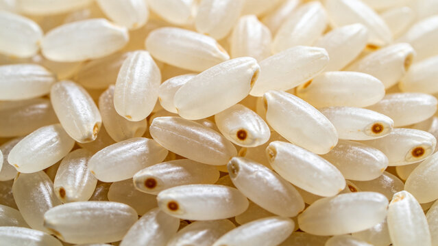Closeup shot of rice grains showcasing their structure and texture from agricultural production