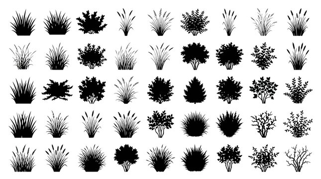 Black grass silhouettes and wild plant bushes, set of 45 botanical vector elements, meadow weeds and garden shrubbery icons for landscape design
