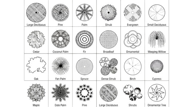 Architectural landscape symbols, 24 black and white tree plan view icons, professional site plan vegetation vector set for garden design