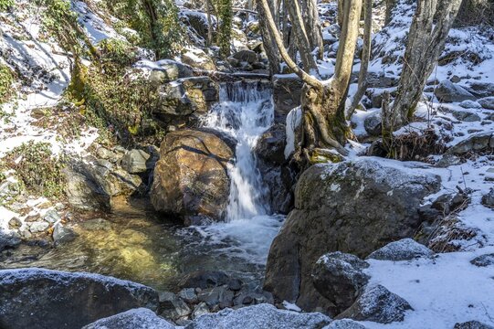 Winter stream to the waterfalls in the Troodos Mountains, Cyprus