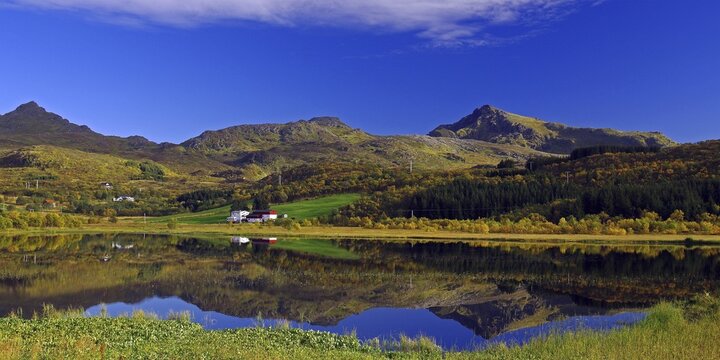 Autumn coloured forests and mountains reflected in a lake, autumn idyll, peace, silence, Leknes, Austvagsoya, Nordland Province, Norway