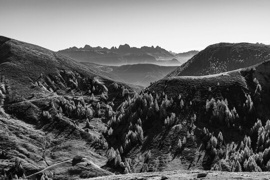 Mountainous landscape, in the back the mountain scenery of the Dolomites, black and white photo, skiing and hiking area Merano 2000, near Merano, South Tyrol, Italy