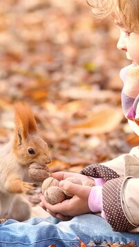 A little girl feeds a squirrel in the park. A happy child having fun outdoors in the autumn. Slow motion. Vertical video