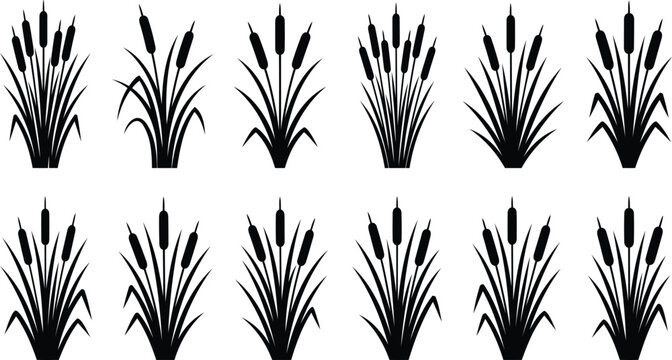 Black silhouette collection of cattail reeds and marsh grass