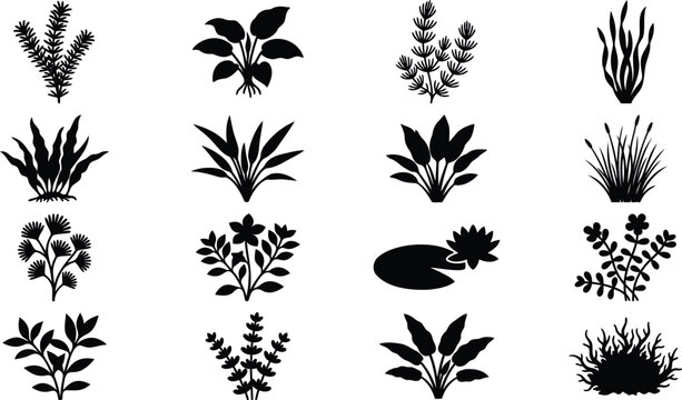Set of black silhouette aquatic plants and water weeds