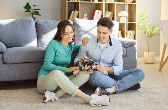 Happy couple at home with schnauzer dog. Relaxed family lifestyle in a bright room, showing companionship and happiness. Cozy sofa, soft carpet, daylight. Strong concept of pet loving family.
