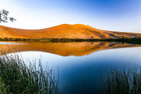 Scenic Golden Sand Dunes Reflection Sunset Bruneau Dunes Idaho
