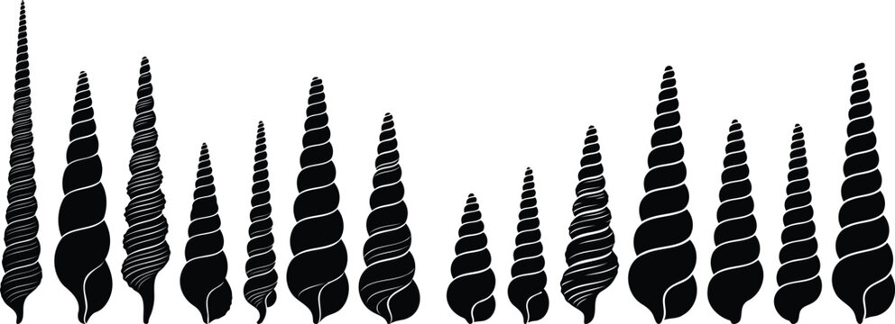 Set of black seashell silhouettes on a row