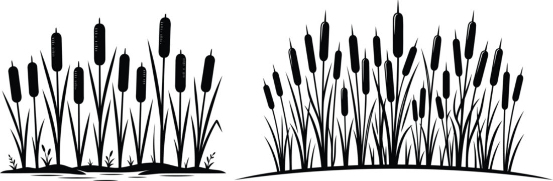 Black silhouette of cattail plants in a swampy pond