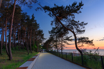 Naklejka premium Beautiful pine boulevard by the Baltic Sea in Stegna at sunset, Poland