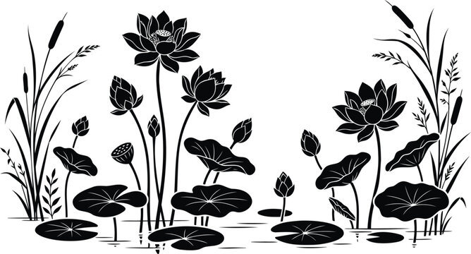 Black silhouette of lotus flowers and leaves in a pond