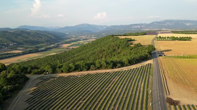 Cinematic aerial panorama of lavender fields, hay bales and rolling farmland in Valensole, Provence, France