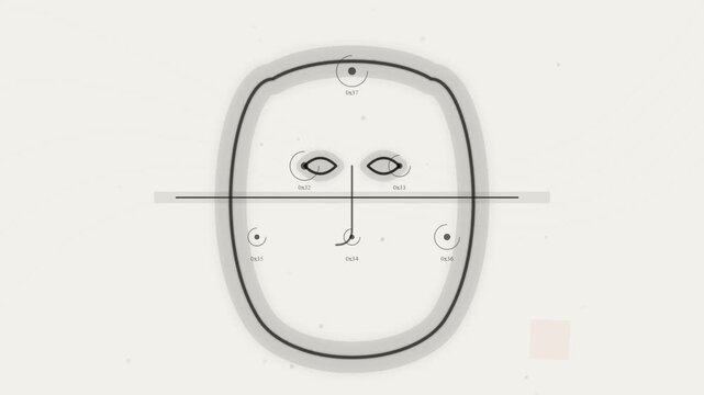 Facial recognition biometric scan analysis interface with tracking points