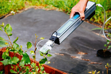 Measuring plant photosynthesis by using portable device © Mulderphoto