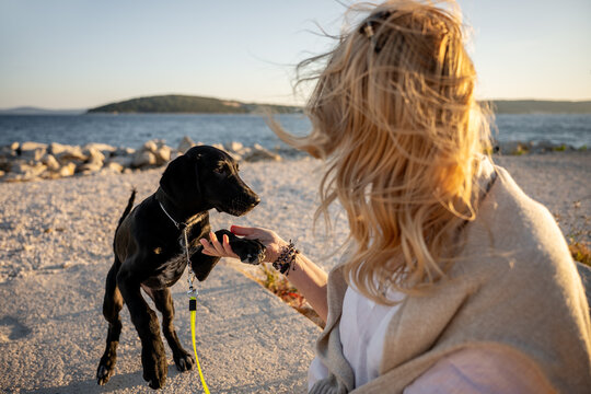 Woman bonding with black Labrador retriever by the sea