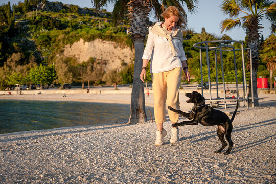 Woman walking black Labrador retriever on sunny beach