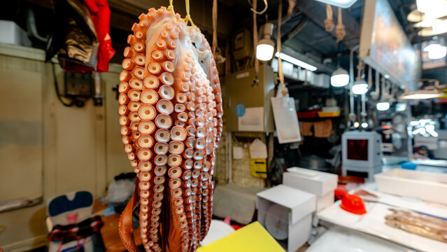 Fresh octopus at Seong-dong Market in Gyeongju