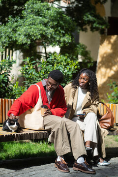 Positive african american couple man and woman relaxing together, sitting on bench petting stray cat lying beside enjoying warm sunshine, carefree black male and female friends on date outdoors.